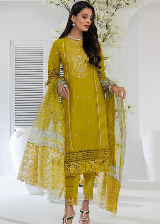 Dhanak Fabric