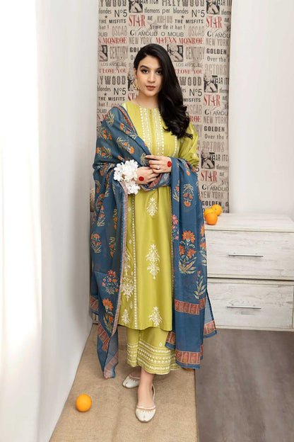 3PC  DHANAK 3PC EMBROIDERED