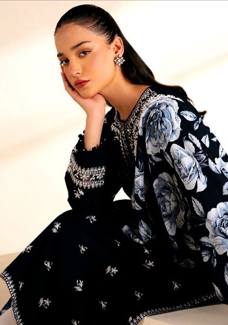 3PC  DHANAK 3PC EMBROIDERED