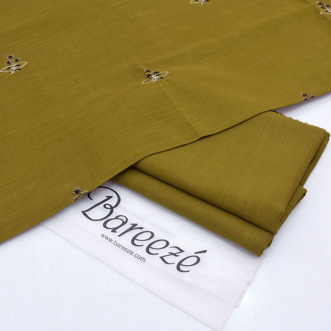 2PC Bareeze Khaddar Embroidered Winter 2pc